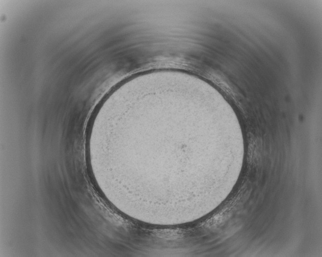 X0000067510836200604101253