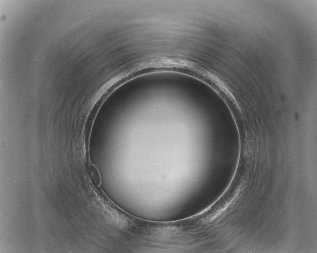 X0000067510837200604101253