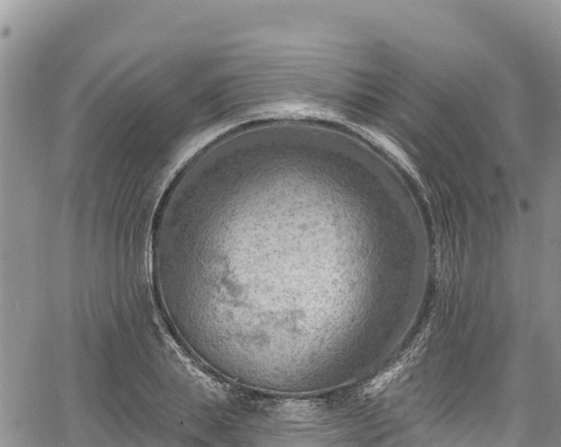 X0000067510839200604101253