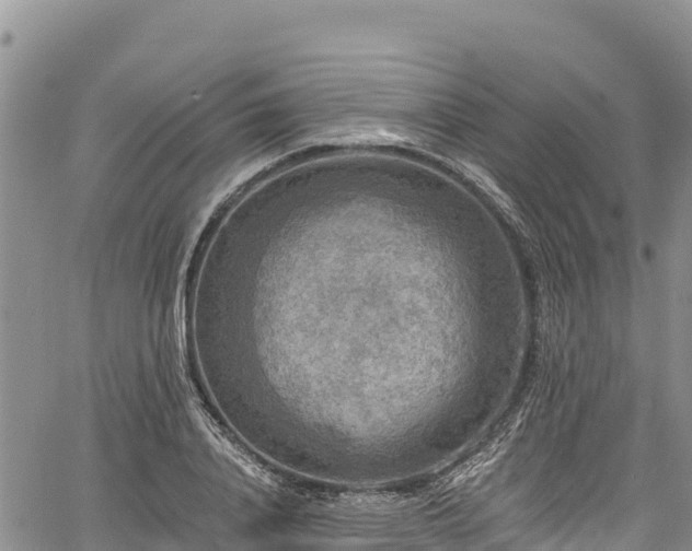 X0000067510840200604101253