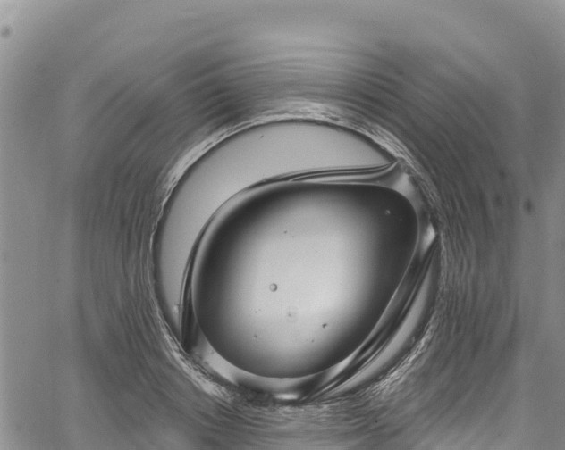 X0000067510842200604101253