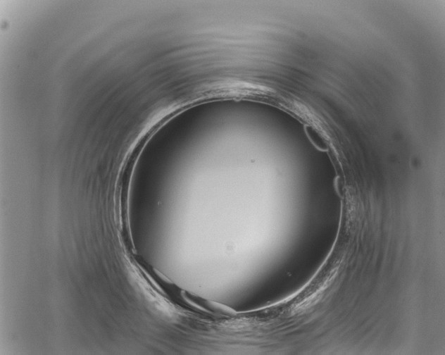 X0000067510843200604101254