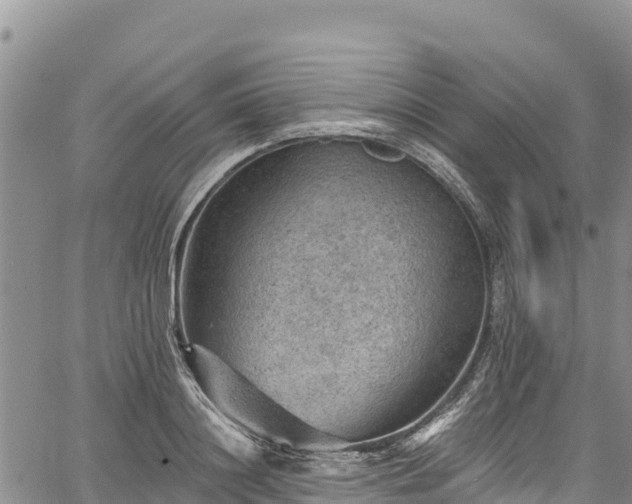 X0000067510844200604101254