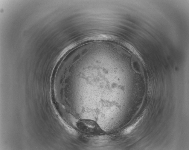 X0000067510845200604101254