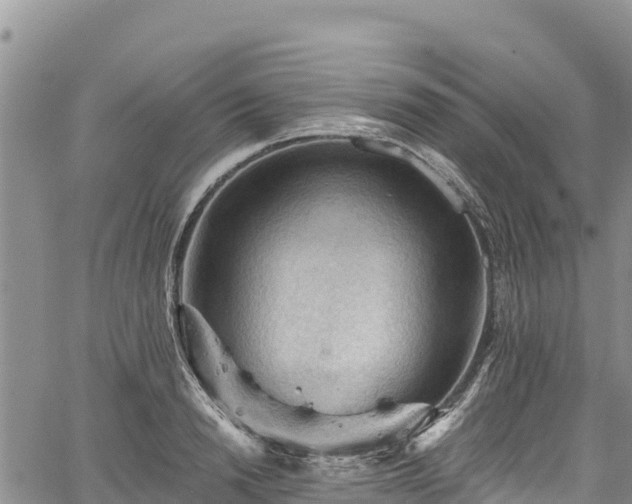 X0000067510846200604101254