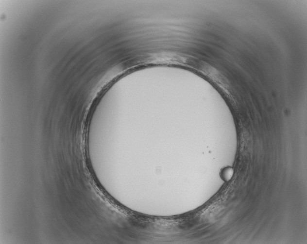 X0000067510848200604101254