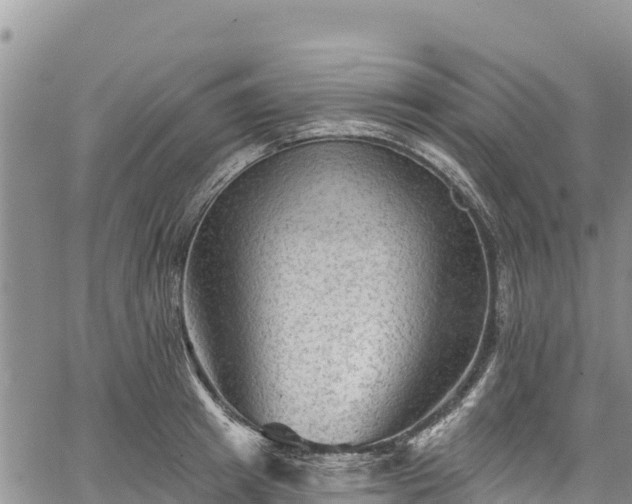 X0000067510849200604101254