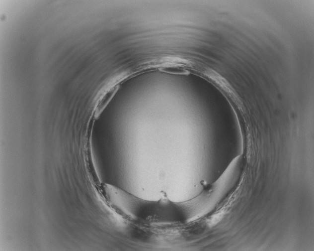 X0000067510850200604101254