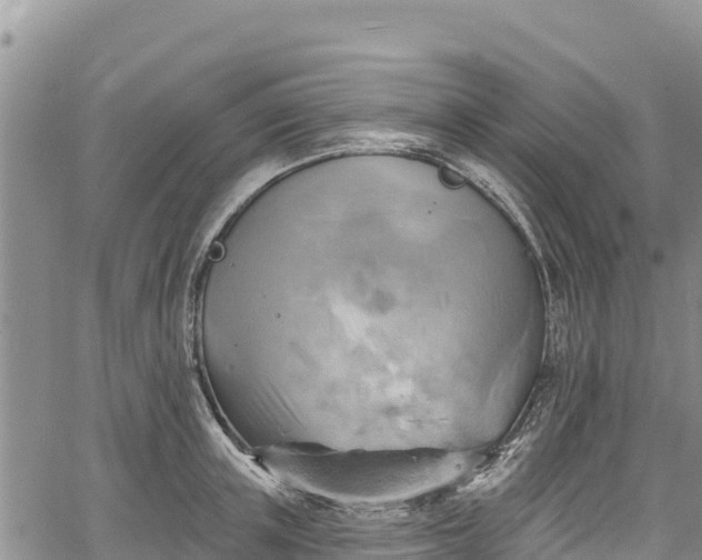 X0000067510851200604101254