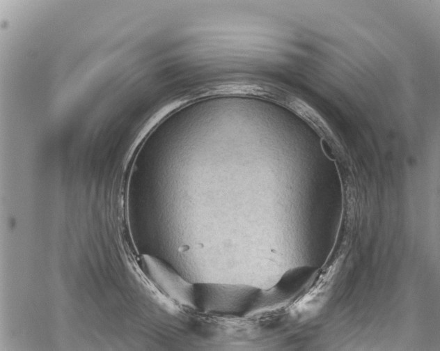 X0000067510852200604101254