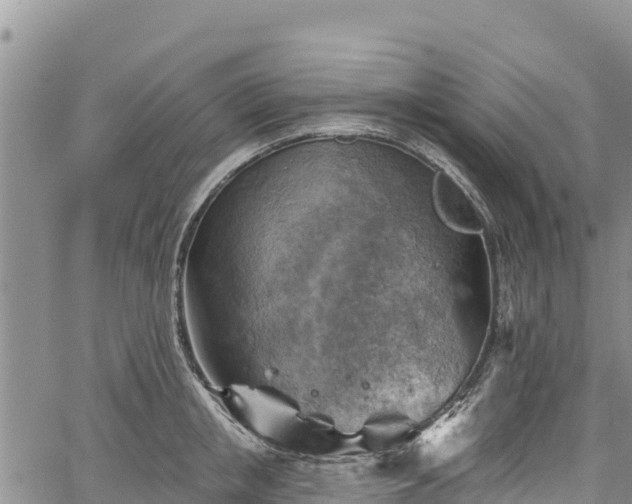 X0000067510853200604101254