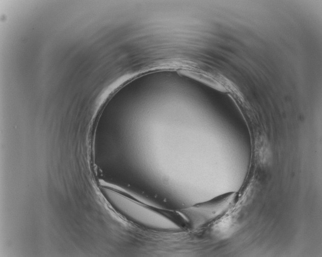 X0000067510854200604101254