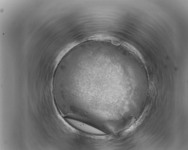 X0000067510855200604101254