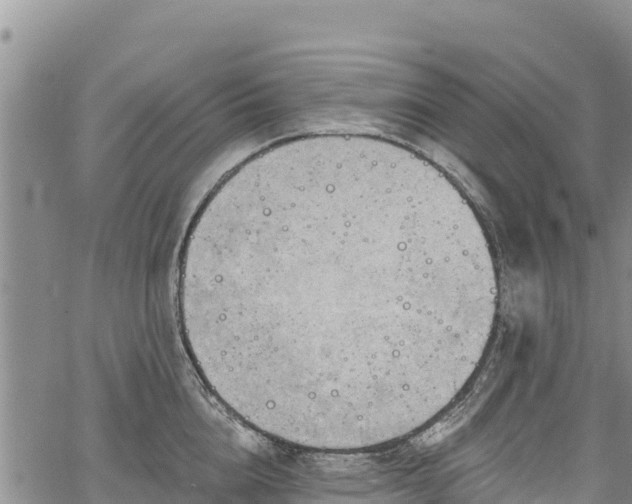 X0000067510856200604101254