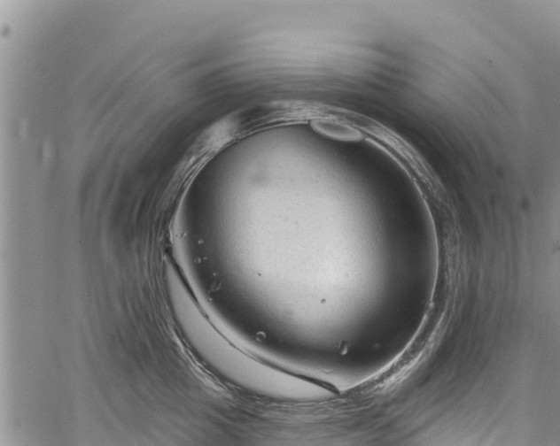 X0000067510857200604101254