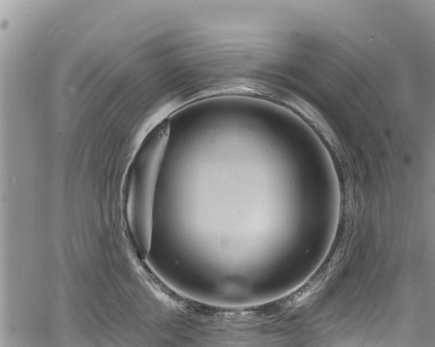 X0000067510858200604101254