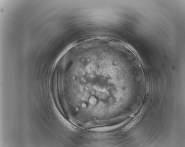 X0000067510859200604101254