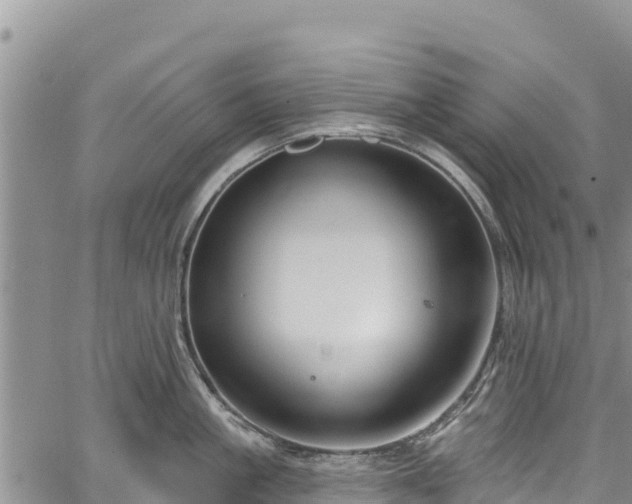 X0000067510861200604101254