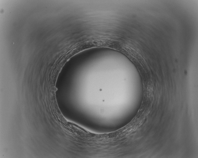 X0000067510865200604101253