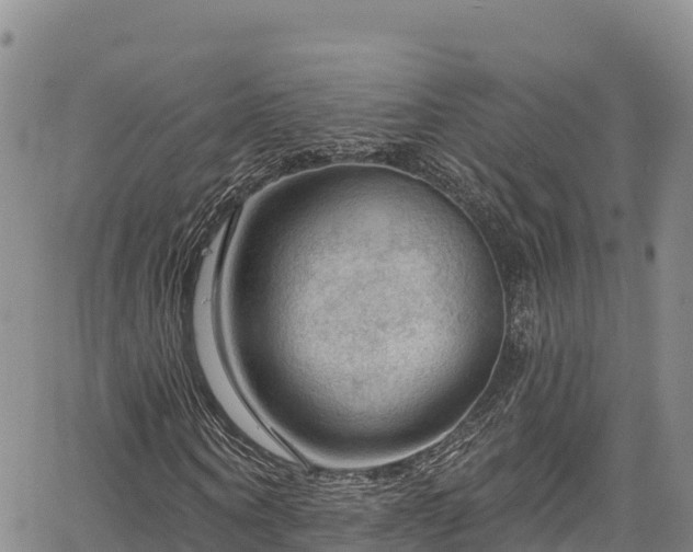 X0000067510866200604101253