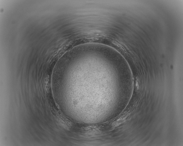 X0000067510867200604101253