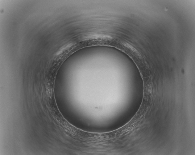 X0000067510869200604101253