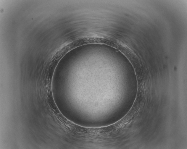 X0000067510870200604101253