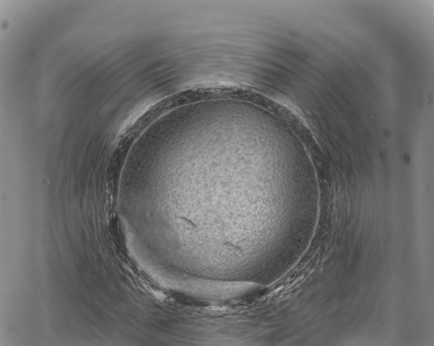 X0000067510871200604101253