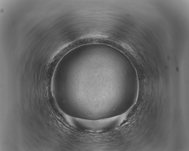 X0000067510872200604101253