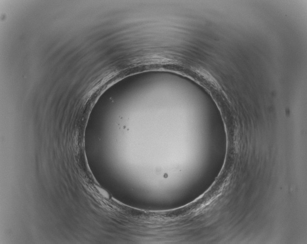 X0000067510873200604101253