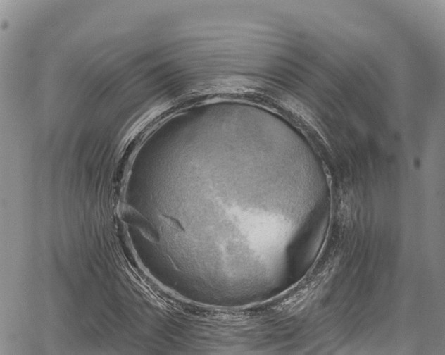 X0000067510874200604101253