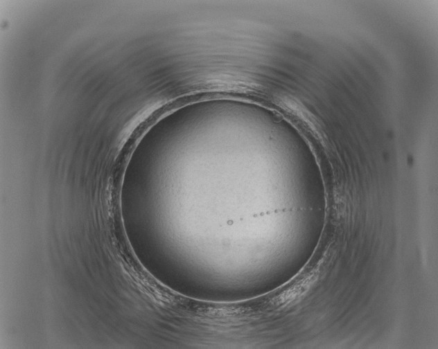 X0000067510875200604101253