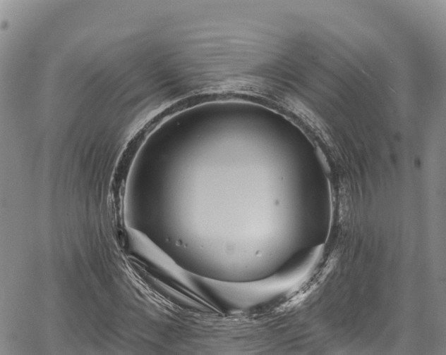 X0000067510876200604101253