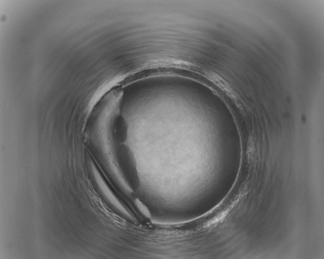 X0000067510877200604101253