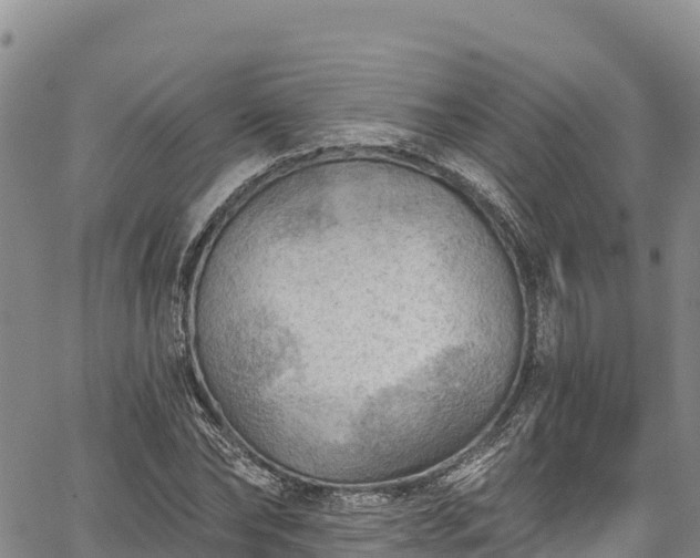 X0000067510878200604101253