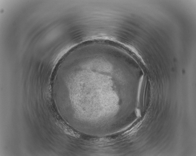 X0000067510879200604101253