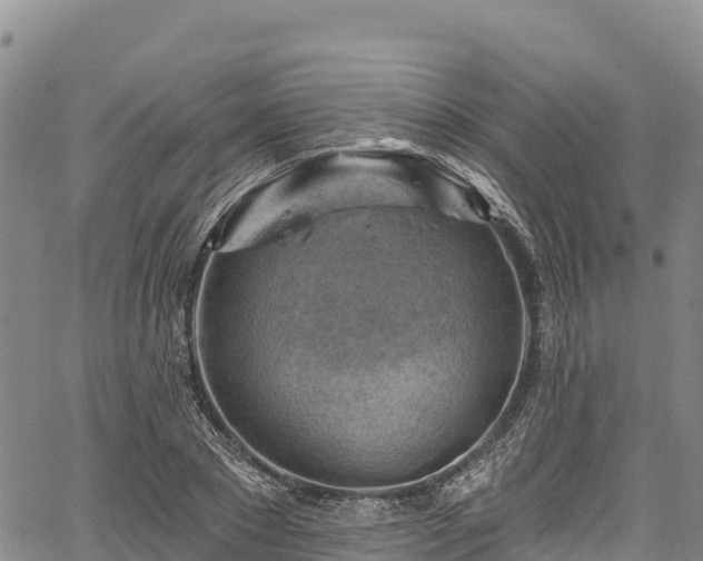 X0000067510881200604101253