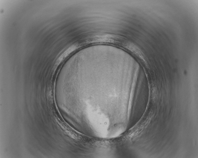 X0000067510882200604101253