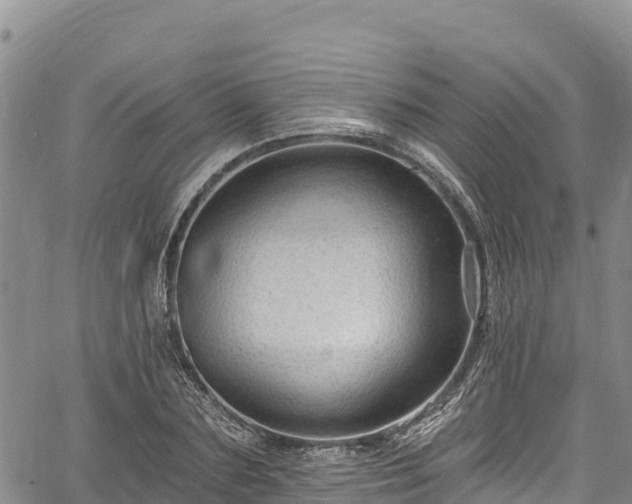 X0000067510883200604101253