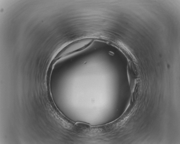 X0000067510884200604101253