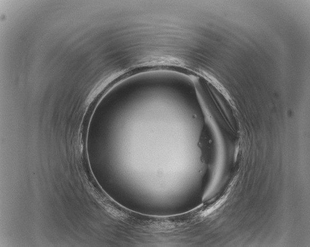 X0000067510885200604101253