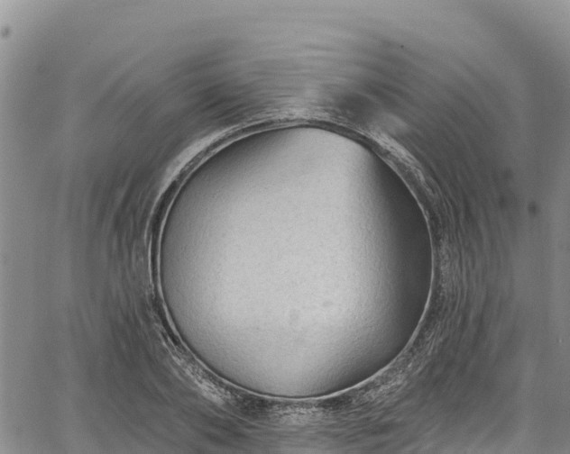 X0000067510886200604101253