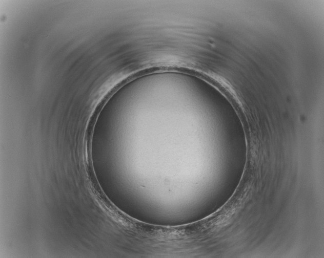 X0000067510887200604101253