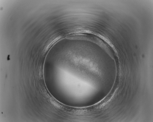 X0000067510889200604101253