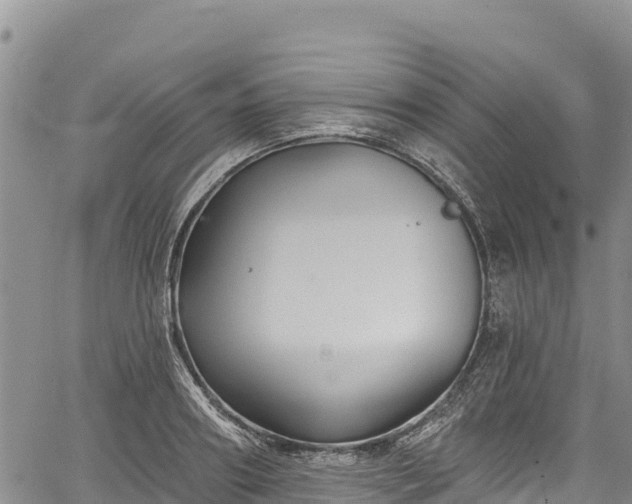 X0000067510890200604101253