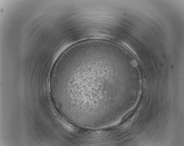 X0000067510891200604101253