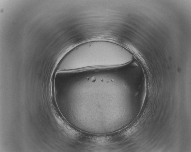 X0000067510892200604101253