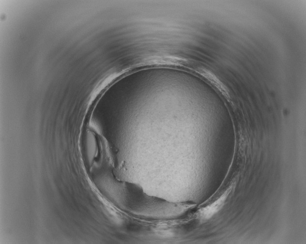 X0000067510893200604101253