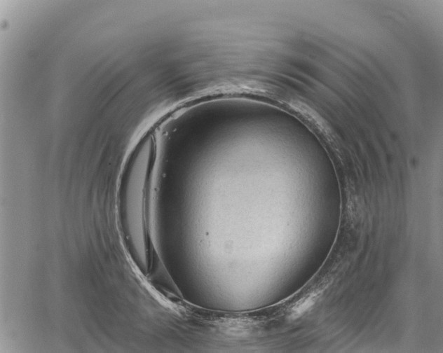 X0000067510894200604101253