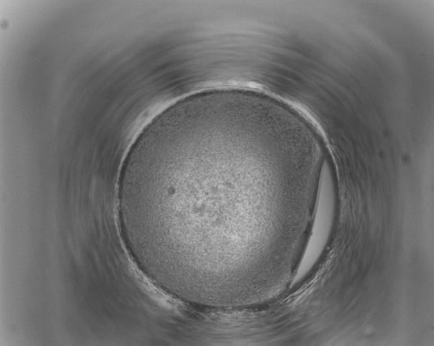 X0000067510895200604101253